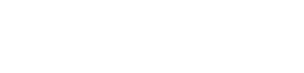 Fullintel Logo